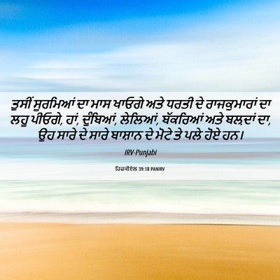 Picture 06 - ਹਿਜ਼ਕੀਏਲ 39:18 PANIRV - ਤੁਸੀਂ ਸੂਰਮਿਆਂ ਦਾ - Bible Verse Picture
