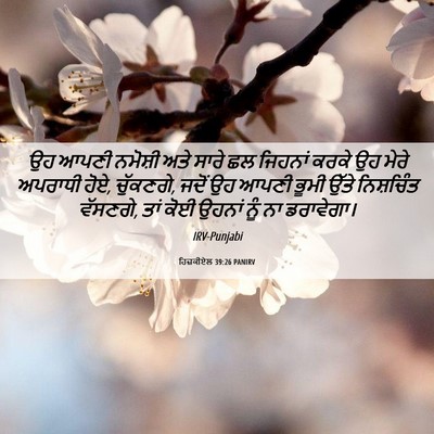 Picture 06 - ਹਿਜ਼ਕੀਏਲ 39:26 PANIRV - ਉਹ ਆਪਣੀ ਨਮੋਸ਼ੀ ਅਤੇ - Bible Verse Picture