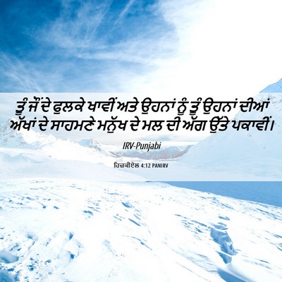 Picture 06 - ਹਿਜ਼ਕੀਏਲ 4:12 PANIRV - ਤੂੰ ਜੌਂ ਦੇ ਫੁਲਕੇ - Bible Verse Picture