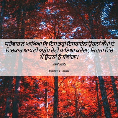 Picture 06 - ਹਿਜ਼ਕੀਏਲ 4:13 PANIRV - ਯਹੋਵਾਹ ਨੇ ਆਖਿਆ ਕਿ - Bible Verse Picture