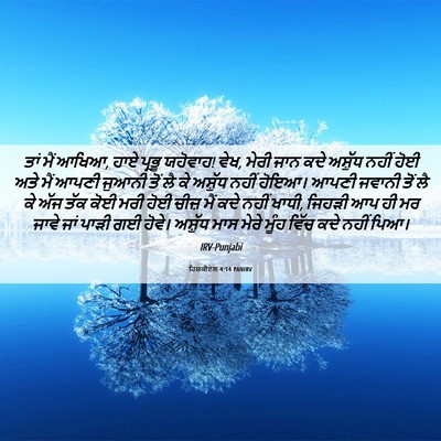 Picture 06 - ਹਿਜ਼ਕੀਏਲ 4:14 PANIRV - ਤਾਂ ਮੈਂ ਆਖਿਆ, ਹਾਏ - Bible Verse Picture