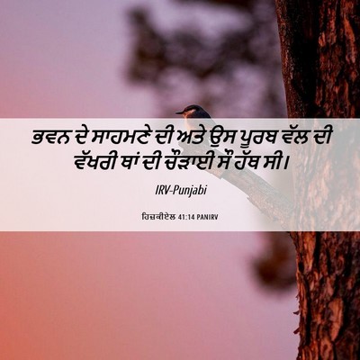 Picture 06 - ਹਿਜ਼ਕੀਏਲ 41:14 PANIRV - ਭਵਨ ਦੇ ਸਾਹਮਣੇ ਦੀ - Bible Verse Picture