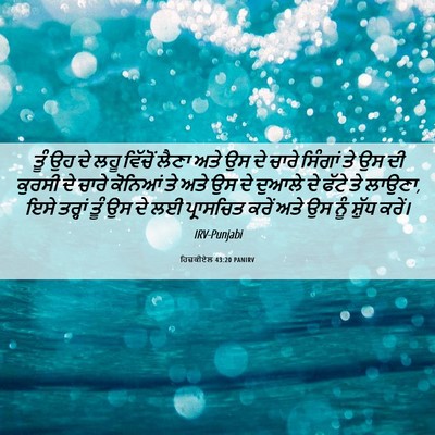 Picture 06 - ਹਿਜ਼ਕੀਏਲ 43:20 PANIRV - ਤੂੰ ਉਹ ਦੇ ਲਹੂ - Bible Verse Picture