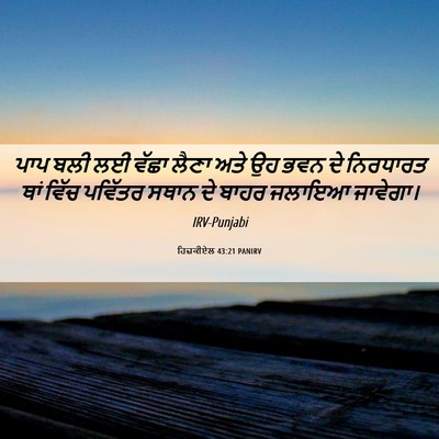 Picture 06 - ਹਿਜ਼ਕੀਏਲ 43:21 PANIRV - ਪਾਪ ਬਲੀ ਲਈ ਵੱਛਾ - Bible Verse Picture