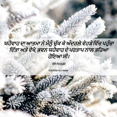 Picture 06 - ਹਿਜ਼ਕੀਏਲ 43:5 PANIRV - ਯਹੋਵਾਹ ਦਾ ਆਤਮਾ ਨੇ - Bible Verse Picture