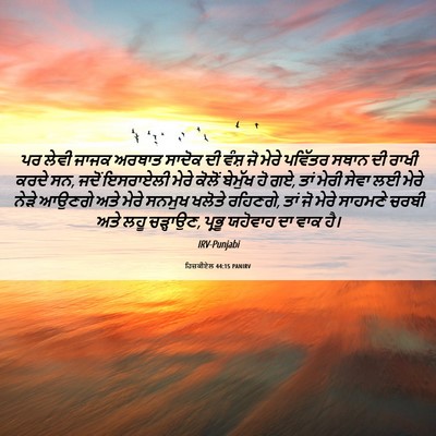 Picture 06 - ਹਿਜ਼ਕੀਏਲ 44:15 PANIRV - ਪਰ ਲੇਵੀ ਜਾਜਕ ਅਰਥਾਤ - Bible Verse Picture