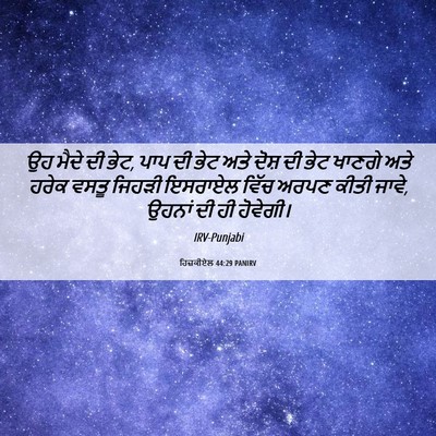 Picture 06 - ਹਿਜ਼ਕੀਏਲ 44:29 PANIRV - ਉਹ ਮੈਦੇ ਦੀ ਭੇਟ, ਪਾਪ - Bible Verse Picture