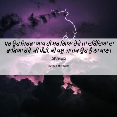 Picture 06 - ਹਿਜ਼ਕੀਏਲ 44:31 PANIRV - ਪਰ ਉਹ ਜਿਹੜਾ ਆਪ ਹੀ - Bible Verse Picture