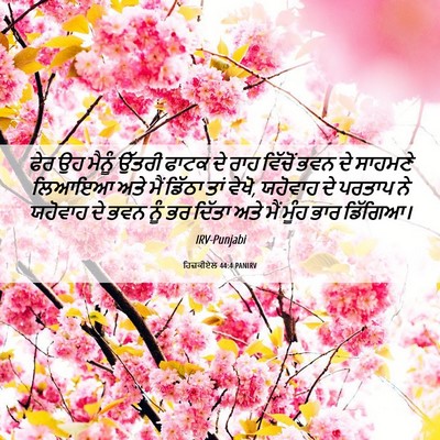 Picture 06 - ਹਿਜ਼ਕੀਏਲ 44:4 PANIRV - ਫੇਰ ਉਹ ਮੈਨੂੰ ਉੱਤਰੀ - Bible Verse Picture