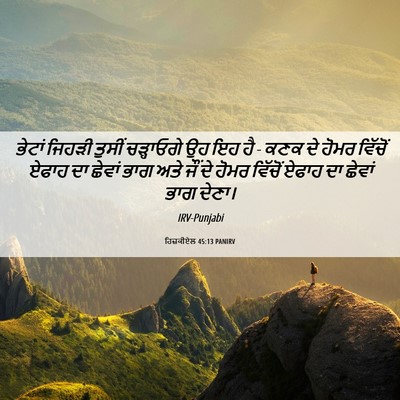 Picture 06 - ਹਿਜ਼ਕੀਏਲ 45:13 PANIRV - ਭੇਟਾਂ ਜਿਹੜੀ ਤੁਸੀਂ - Bible Verse Picture