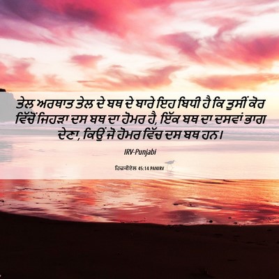 Picture 06 - ਹਿਜ਼ਕੀਏਲ 45:14 PANIRV - ਤੇਲ ਅਰਥਾਤ ਤੇਲ ਦੇ ਬਥ - Bible Verse Picture