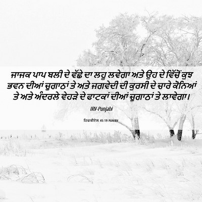 Picture 06 - ਹਿਜ਼ਕੀਏਲ 45:19 PANIRV - ਜਾਜਕ ਪਾਪ ਬਲੀ ਦੇ - Bible Verse Picture