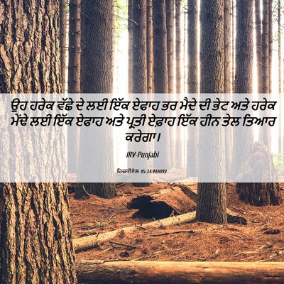 Picture 06 - ਹਿਜ਼ਕੀਏਲ 45:24 PANIRV - ਉਹ ਹਰੇਕ ਵੱਛੇ ਦੇ ਲਈ - Bible Verse Picture