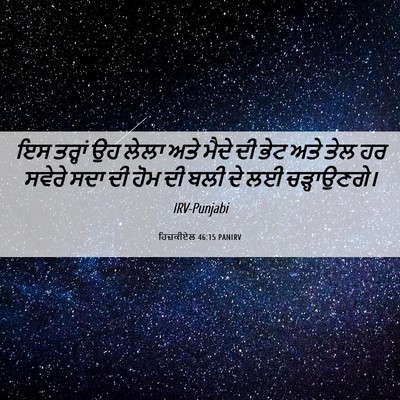 Picture 06 - ਹਿਜ਼ਕੀਏਲ 46:15 PANIRV - ਇਸ ਤਰ੍ਹਾਂ ਉਹ ਲੇਲਾ - Bible Verse Picture