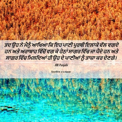 Picture 06 - ਹਿਜ਼ਕੀਏਲ 47:8 PANIRV - ਤਦ ਉਹ ਨੇ ਮੈਨੂੰ ਆਖਿਆ - Bible Verse Picture