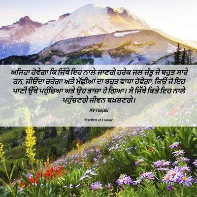 Picture 06 - ਹਿਜ਼ਕੀਏਲ 47:9 PANIRV - ਅਜਿਹਾ ਹੋਵੇਗਾ ਕਿ - Bible Verse Picture