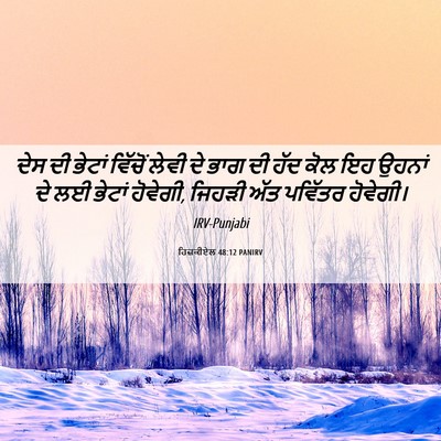 Picture 06 - ਹਿਜ਼ਕੀਏਲ 48:12 PANIRV - ਦੇਸ ਦੀ ਭੇਟਾਂ - Bible Verse Picture
