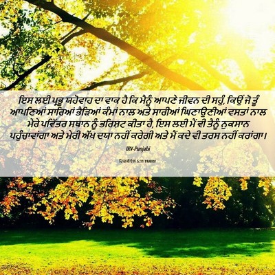 Picture 06 - ਹਿਜ਼ਕੀਏਲ 5:11 PANIRV - ਇਸ ਲਈ ਪ੍ਰਭੂ ਯਹੋਵਾਹ - Bible Verse Picture