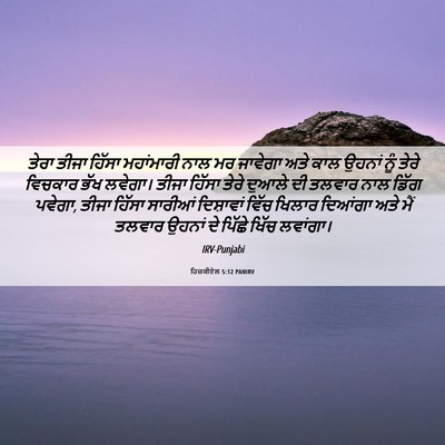 Picture 06 - ਹਿਜ਼ਕੀਏਲ 5:12 PANIRV - ਤੇਰਾ ਤੀਜਾ ਹਿੱਸਾ - Bible Verse Picture