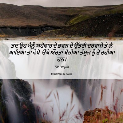 Picture 06 - ਹਿਜ਼ਕੀਏਲ 8:14 PANIRV - ਤਦ ਉਹ ਮੈਨੂੰ ਯਹੋਵਾਹ - Bible Verse Picture