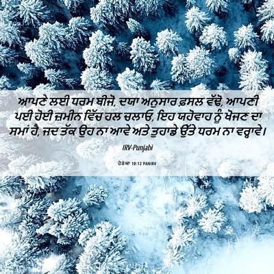 Picture 06 - ਹੋਸ਼ੇਆ 10:12 PANIRV - ਆਪਣੇ ਲਈ ਧਰਮ ਬੀਜੋ, - Bible Verse Picture