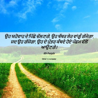 Picture 06 - ਹੋਸ਼ੇਆ 11:10 PANIRV - ਉਹ ਯਹੋਵਾਹ ਦੇ ਪਿੱਛੇ - Bible Verse Picture