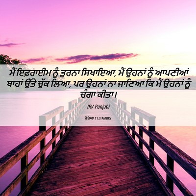 Picture 06 - ਹੋਸ਼ੇਆ 11:3 PANIRV - ਮੈਂ ਇਫ਼ਰਾਈਮ ਨੂੰ - Bible Verse Picture