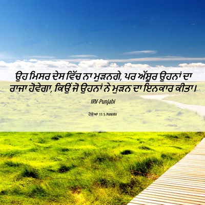 Picture 06 - ਹੋਸ਼ੇਆ 11:5 PANIRV - ਉਹ ਮਿਸਰ ਦੇਸ ਵਿੱਚ ਨਾ - Bible Verse Picture