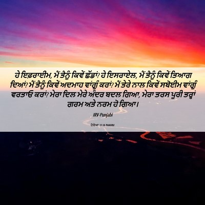 Picture 06 - ਹੋਸ਼ੇਆ 11:8 PANIRV - ਹੇ ਇਫ਼ਰਾਈਮ, ਮੈਂ - Bible Verse Picture
