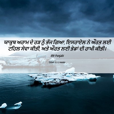 Picture 06 - ਹੋਸ਼ੇਆ 12:12 PANIRV - ਯਾਕੂਬ ਅਰਾਮ ਦੇ ਰੜ - Bible Verse Picture