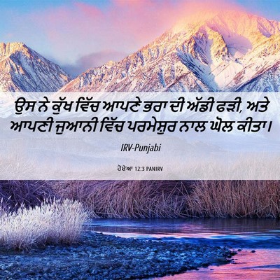 Picture 06 - ਹੋਸ਼ੇਆ 12:3 PANIRV - ਉਸ ਨੇ ਕੁੱਖ ਵਿੱਚ - Bible Verse Picture