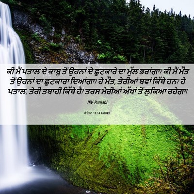 Picture 06 - ਹੋਸ਼ੇਆ 13:14 PANIRV - ਕੀ ਮੈਂ ਪਤਾਲ ਦੇ ਕਾਬੂ - Bible Verse Picture