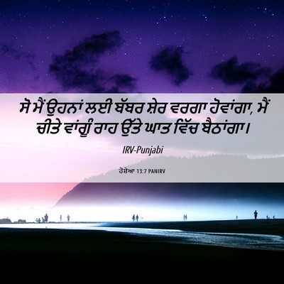 Picture 06 - ਹੋਸ਼ੇਆ 13:7 PANIRV - ਸੋ ਮੈਂ ਉਹਨਾਂ ਲਈ - Bible Verse Picture