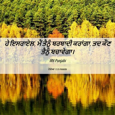 Picture 06 - ਹੋਸ਼ੇਆ 13:9 PANIRV - ਹੇ ਇਸਰਾਏਲ, ਮੈਂ - Bible Verse Picture