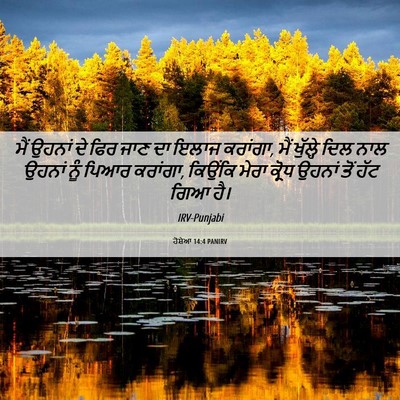 Picture 06 - ਹੋਸ਼ੇਆ 14:4 PANIRV - ਮੈਂ ਉਹਨਾਂ ਦੇ ਫਿਰ - Bible Verse Picture
