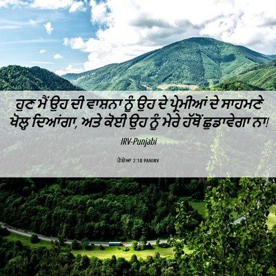 Picture 06 - ਹੋਸ਼ੇਆ 2:10 PANIRV - ਹੁਣ ਮੈਂ ਉਹ ਦੀ - Bible Verse Picture