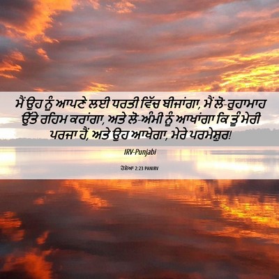 Picture 06 - ਹੋਸ਼ੇਆ 2:23 PANIRV - ਮੈਂ ਉਹ ਨੂੰ ਆਪਣੇ ਲਈ - Bible Verse Picture
