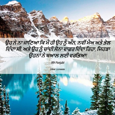 Picture 06 - ਹੋਸ਼ੇਆ 2:8 PANIRV - ਉਹ ਨੇ ਨਾ ਜਾਣਿਆ ਕਿ - Bible Verse Picture