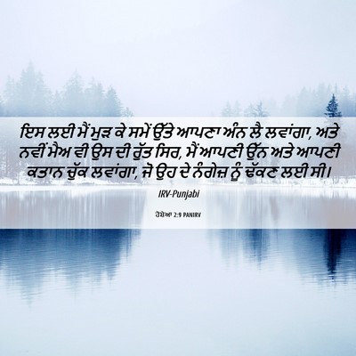 Picture 06 - ਹੋਸ਼ੇਆ 2:9 PANIRV - ਇਸ ਲਈ ਮੈਂ ਮੁੜ ਕੇ - Bible Verse Picture
