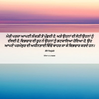 Picture 06 - ਹੋਸ਼ੇਆ 4:12 PANIRV - ਮੇਰੀ ਪਰਜਾ ਆਪਣੀ - Bible Verse Picture
