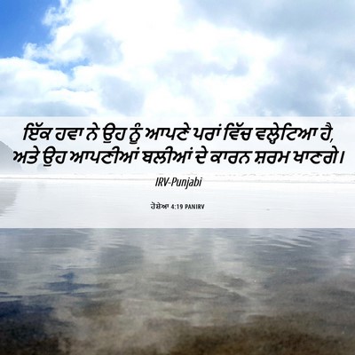 Picture 06 - ਹੋਸ਼ੇਆ 4:19 PANIRV - ਇੱਕ ਹਵਾ ਨੇ ਉਹ ਨੂੰ - Bible Verse Picture