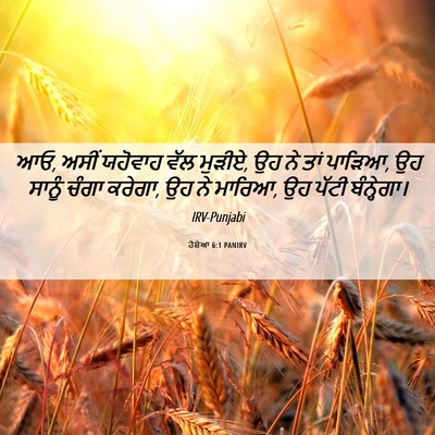 Picture 06 - ਹੋਸ਼ੇਆ 6:1 PANIRV - ਆਓ, ਅਸੀਂ ਯਹੋਵਾਹ ਵੱਲ - Bible Verse Picture