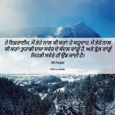Picture 06 - ਹੋਸ਼ੇਆ 6:4 PANIRV - ਹੇ ਇਫ਼ਰਾਈਮ, ਮੈਂ - Bible Verse Picture