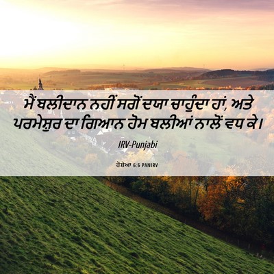 Picture 06 - ਹੋਸ਼ੇਆ 6:6 PANIRV - ਮੈਂ ਬਲੀਦਾਨ ਨਹੀਂ - Bible Verse Picture