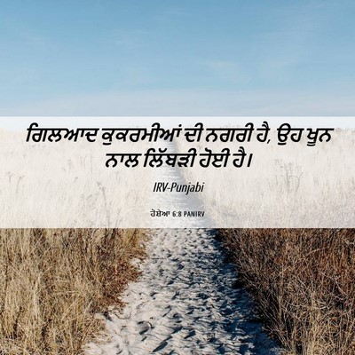 Picture 06 - ਹੋਸ਼ੇਆ 6:8 PANIRV - ਗਿਲਆਦ ਕੁਕਰਮੀਆਂ ਦੀ - Bible Verse Picture