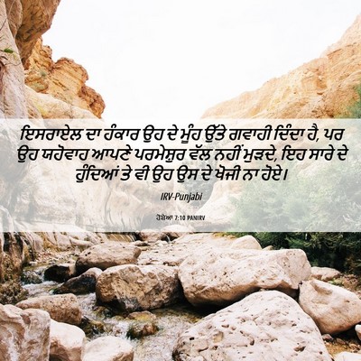 Picture 06 - ਹੋਸ਼ੇਆ 7:10 PANIRV - ਇਸਰਾਏਲ ਦਾ ਹੰਕਾਰ ਉਹ - Bible Verse Picture