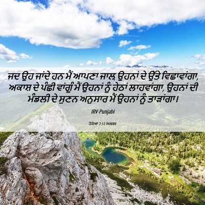 Picture 06 - ਹੋਸ਼ੇਆ 7:12 PANIRV - ਜਦ ਉਹ ਜਾਂਦੇ ਹਨ ਮੈਂ - Bible Verse Picture