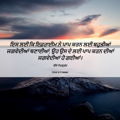 Picture 06 - ਹੋਸ਼ੇਆ 8:11 PANIRV - ਇਸ ਲਈ ਕਿ ਇਫ਼ਰਾਈਮ ਨੇ - Bible Verse Picture