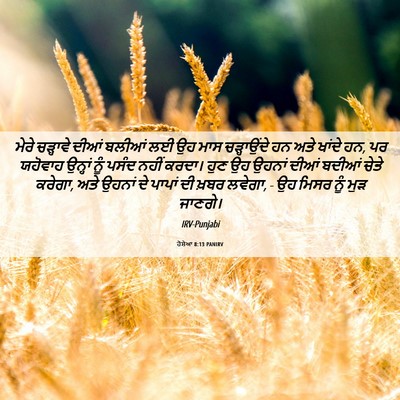Picture 06 - ਹੋਸ਼ੇਆ 8:13 PANIRV - ਮੇਰੇ ਚੜ੍ਹਾਵੇ ਦੀਆਂ - Bible Verse Picture