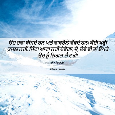 Picture 06 - ਹੋਸ਼ੇਆ 8:7 PANIRV - ਉਹ ਹਵਾ ਬੀਜਦੇ ਹਨ ਅਤੇ - Bible Verse Picture